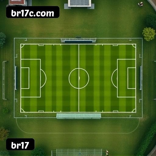 Níveis do programa VIP da br17